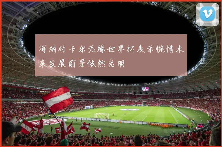 海纳对卡尔无缘世界杯表示惋惜未来发展前景依然光明