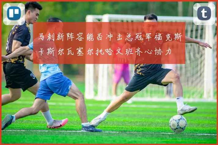 马刺新阵容能否冲击总冠军福克斯卡斯尔瓦塞尔托哈文班齐心协力